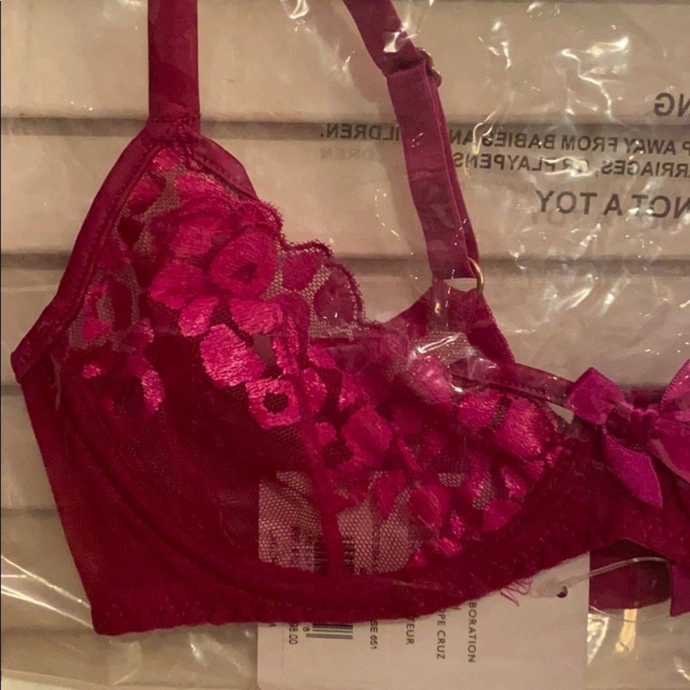 NWT L’Agent by AP Odessa Mesh Demi Bra, Cerise - Picture 11 of 12